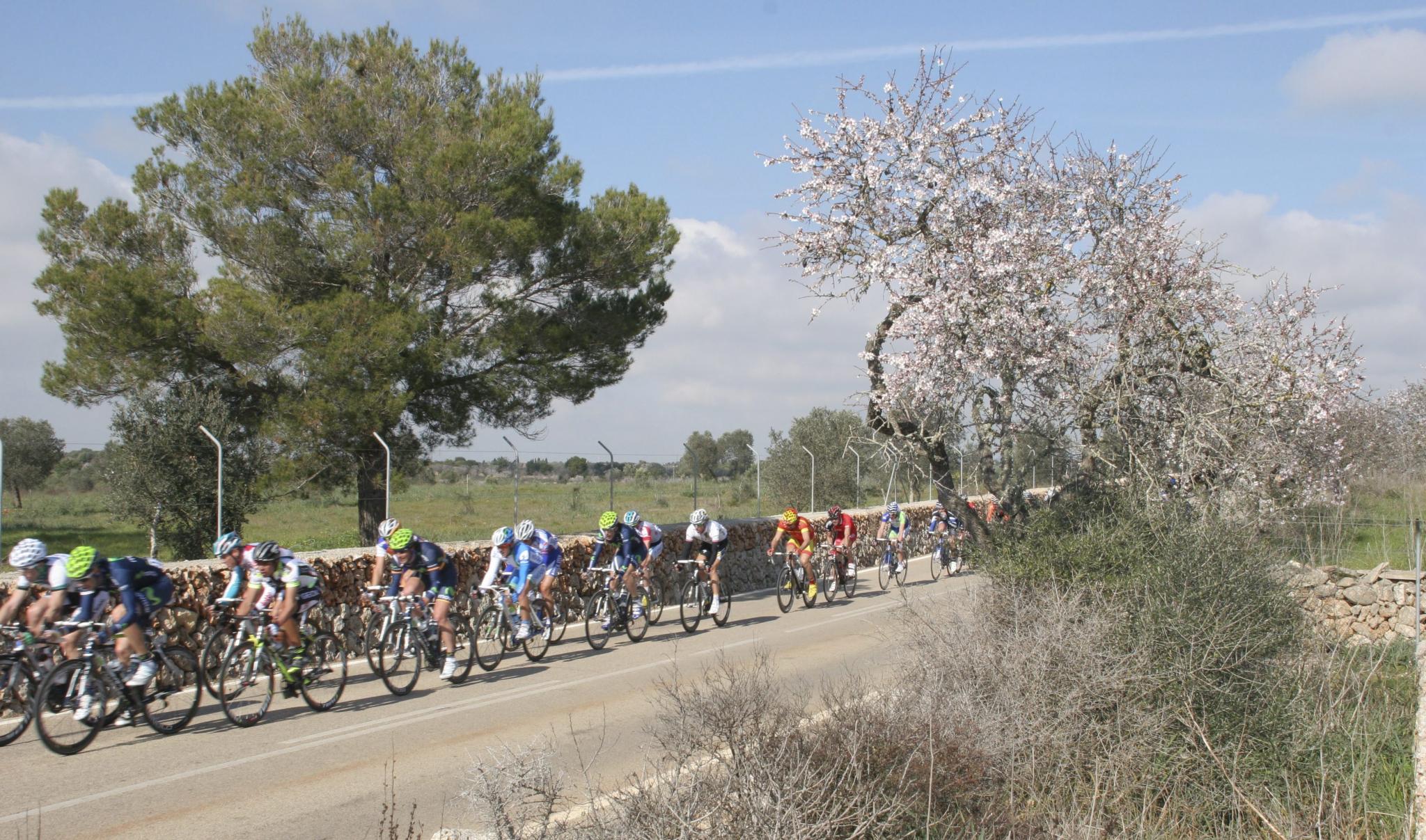 Desafío Vuetla Ciclista a Mallorca evento
