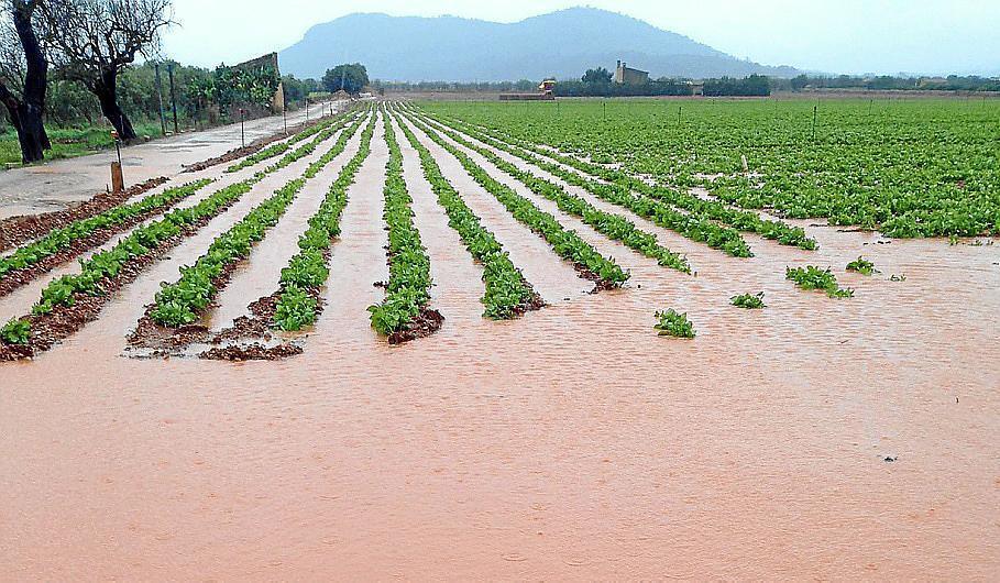 crops-could-be-ruined-by-floods